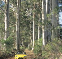 Scotsdale Tourist Drive - Queensland Tourism