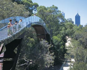 Lotterywest Federation Walkway - Queensland Tourism 0