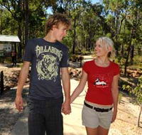 Crooked Brook Forest - Queensland Tourism