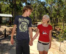 Crooked Brook Forest - Queensland Tourism 0