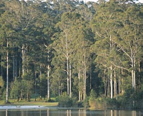 Big Brook Dam - Queensland Tourism 0