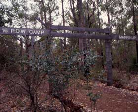 Marrinup Trail, Dwellingup - QLD Tourism 0