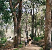 Law Trail and Lotterywest Federation Walkway Kings Park - Queensland Tourism