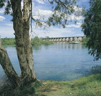 Bandicoot Bar - Queensland Tourism