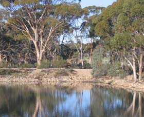 Merredin Railway Dam - Queensland Tourism 0