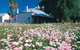 Greenough Museum - thumb 0