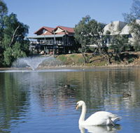 White Swans - Queensland Tourism