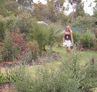 The Mythic Mazes - Queensland Tourism