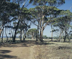 Dumbleyung WA Queensland Tourism