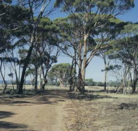 Lake Dumbleyung - Queensland Tourism
