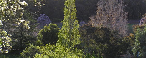 Golden Valley Tree Park - QLD Tourism 3