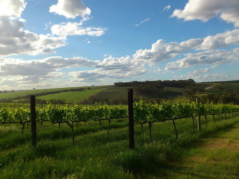 Plantagenet Wines - QLD Tourism 1