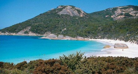 Plantagenet Wines - QLD Tourism 3