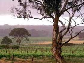  Queensland Tourism