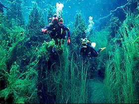 Square Mile SA QLD Tourism