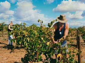 Torbreck Vintners - QLD Tourism 0
