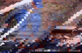 City Sk8 Park - QLD Tourism 0