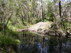Para Wirra Recreation Park - QLD Tourism 0