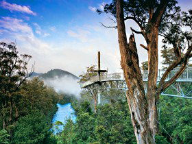  Queensland Tourism