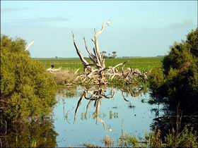  QLD Tourism