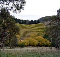 Mt Bera Vineyards - Queensland Tourism