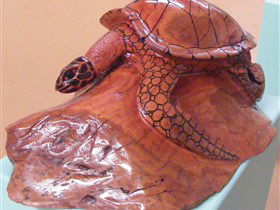 Ants Redgum Gallery - Queensland Tourism 0