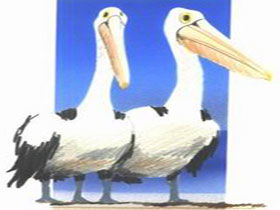 Bay Of Shoals Wines - Queensland Tourism 0