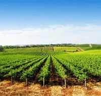 Aldinga Bay Winery - Queensland Tourism