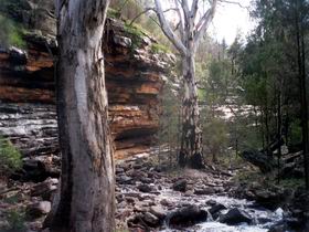 Mambray Creek SA QLD Tourism