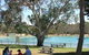 Naracoorte Nature Park And Swimming Lake - thumb 0