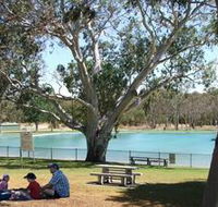 Naracoorte Nature Park and Swimming Lake - QLD Tourism