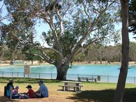 Naracoorte Nature Park And Swimming Lake - Queensland Tourism 0