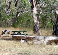 Penola Conservation Park - Queensland Tourism