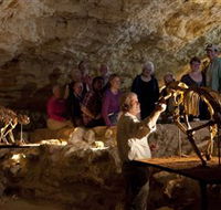 Naracoorte Caves National Park - QLD Tourism