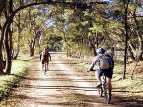 Bike About Mountain Bike Tours And Hire - QLD Tourism 0