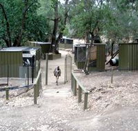 Humbug Scrub Wildlife Sanctuary - Queensland Tourism