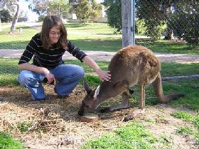 Shaugh SA QLD Tourism