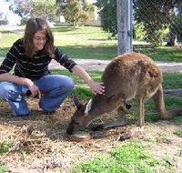 Pendleton Farmstay - QLD Tourism