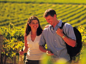 Lady Bay Vineyard - QLD Tourism 0
