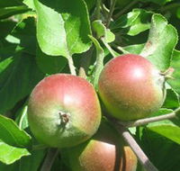 Sage Cooking School - Queensland Tourism