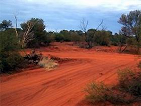 Tallaringa Conservation Park - QLD Tourism 0