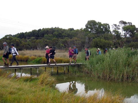 Lavender Federation Trail - QLD Tourism 1