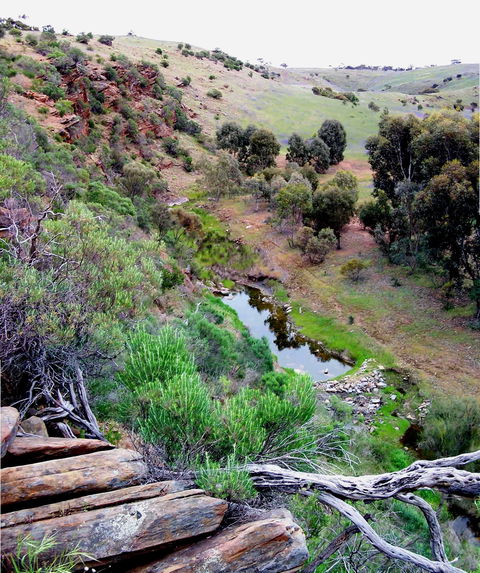 Lavender Federation Trail - QLD Tourism 3