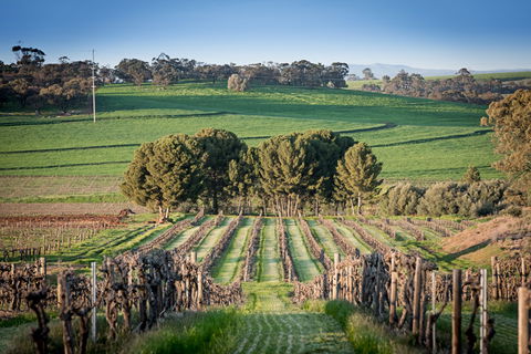 Heritage Wines - Queensland Tourism 1
