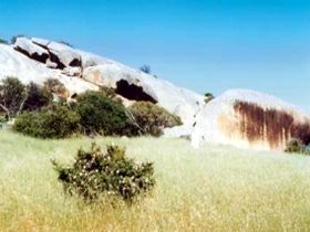 Ucontitchie Hill - Queensland Tourism 0
