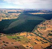 Mount Crawford Forest Reserve - QLD Tourism