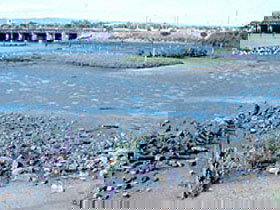 Jervois Basin Ships' Graveyard - QLD Tourism 0