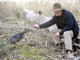 Sinclair's Gully - QLD Tourism 0