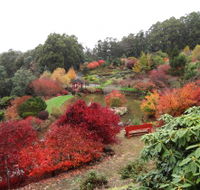 Emu Valley Rhododendron Garden - Queensland Tourism