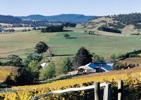 Freycinet Vineyards Pty Ltd - QLD Tourism 0